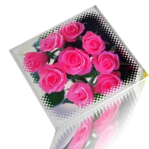 Square Sublimation Glass Photo Plaque – BL-17A