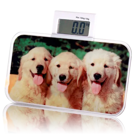 Sublimation Glass Digital Weighing Scale – BL-19