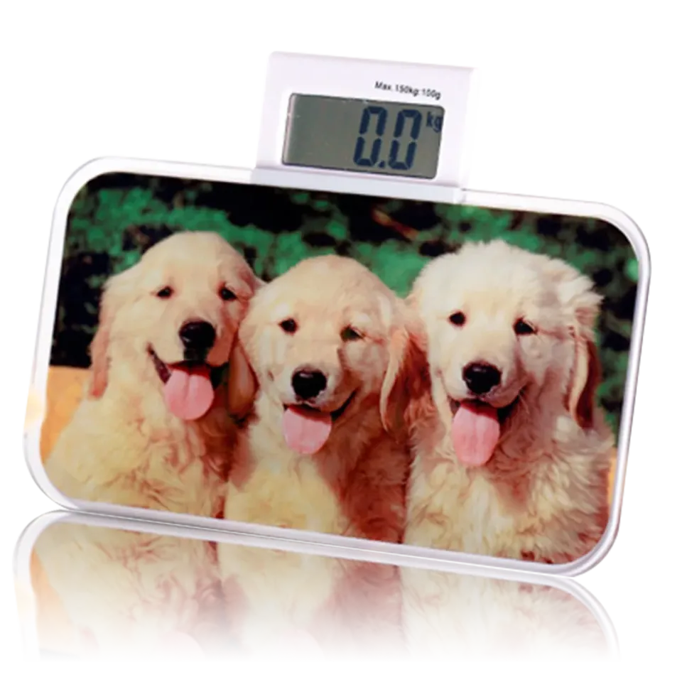 Sublimation Glass Digital Weighing Scale – BL-19